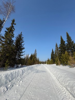 ДП Родной в Невьянске - nevyansk.yutvil.ru - фото 7