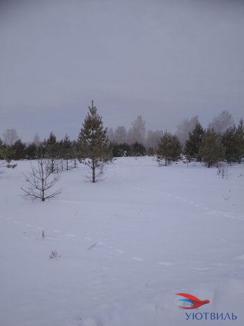 Земельный участок поселок Баженово в Невьянске - nevyansk.yutvil.ru - фото 5