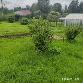 г Верхняя пышма, СНТ Мираж, уч.№ 99 в Невьянске - nevyansk.yutvil.ru - фото 11