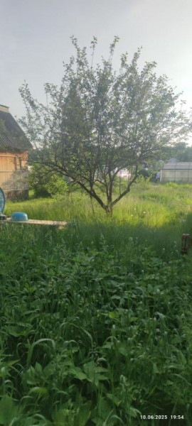 г Верхняя пышма, СНТ Мираж, уч.№ 99 в Невьянске - nevyansk.yutvil.ru - фото 19