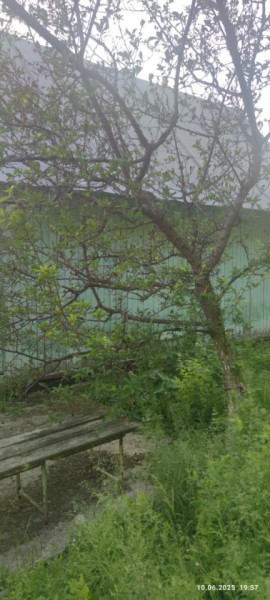 г Верхняя пышма, СНТ Мираж, уч.№ 99 в Невьянске - nevyansk.yutvil.ru - фото 26