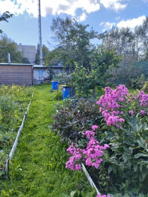Коллективный сад номер 7, участок 58 в Невьянске - nevyansk.yutvil.ru - фото 23