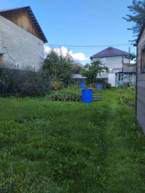 Коллективный сад номер 7, участок 58 в Невьянске - nevyansk.yutvil.ru - фото 26
