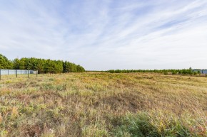 Российская Федерация, Свердловская область, Сысертский городской округ, территория садоводческого некоммерческого товарищества Бобровские дачи, улица Каштановая, земельный участок № 38 в Невьянске - nevyansk.yutvil.ru - фото 16