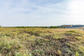 Российская Федерация, Свердловская область, Сысертский городской округ, территория садоводческого некоммерческого товарищества Бобровские дачи, улица Каштановая, земельный участок № 38 в Невьянске - nevyansk.yutvil.ru - фото 24