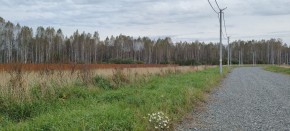 с. Новоалексеевское, КП Оникс, в Невьянске - nevyansk.yutvil.ru - фото 2 с. Новоалексеевское, КП Оникс, в Невьянске - nevyansk.yutvil.ru - фото 2