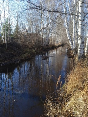 СНТ Берёзка в Невьянске - nevyansk.yutvil.ru - фото 14