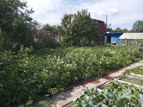 СНТ Медик-2 в Невьянске - nevyansk.yutvil.ru - фото 6