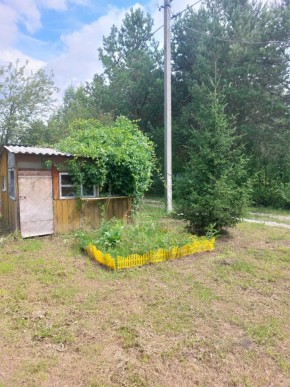 СНТ Родники в Невьянске - nevyansk.yutvil.ru - фото 1 СНТ Родники в Невьянске - nevyansk.yutvil.ru - фото 1