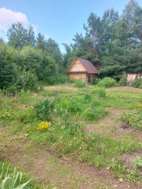 СНТ Родники в Невьянске - nevyansk.yutvil.ru - фото 2 СНТ Родники в Невьянске - nevyansk.yutvil.ru - фото 2