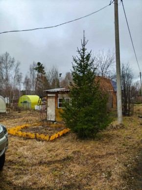 СНТ Родники в Невьянске - nevyansk.yutvil.ru - фото 5