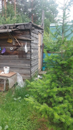 СНТ Садовод-24 в Невьянске - nevyansk.yutvil.ru - фото 13