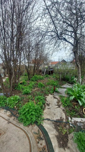 СНТ Сирень, уч. 38 в Невьянске - nevyansk.yutvil.ru - фото 7