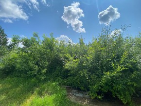 СПК Юбилейный, уч. 9 в Невьянске - nevyansk.yutvil.ru - фото 9