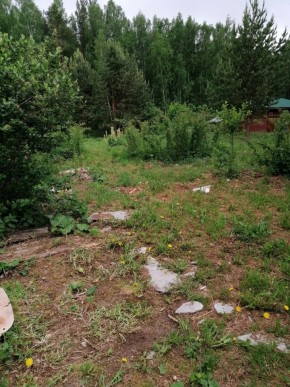 СТН Семья №112, Верхняя пышма на землях бывшего подсобного хозяйтва верхнепышминского опытного завода в Невьянске - nevyansk.yutvil.ru - фото 17 СТН Семья №112, Верхняя пышма на землях бывшего подсобного хозяйтва верхнепышминского опытного завода в Невьянске - nevyansk.yutvil.ru - фото 17
