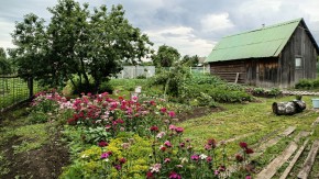 ул. 8-е Марта,46 в Невьянске - nevyansk.yutvil.ru - фото 6 ул. 8-е Марта,46 в Невьянске - nevyansk.yutvil.ru - фото 6