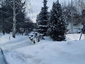 ул. 8 Марта,7 в Невьянске - nevyansk.yutvil.ru - фото 20 ул. 8 Марта,7 в Невьянске - nevyansk.yutvil.ru - фото 20