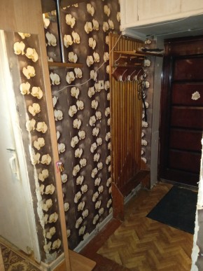 ул. Бажова,11 в Невьянске - nevyansk.yutvil.ru - фото 9