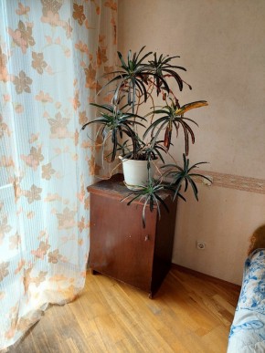 ул. Индустрии,29 в Невьянске - nevyansk.yutvil.ru - фото 4 ул. Индустрии,29 в Невьянске - nevyansk.yutvil.ru - фото 4