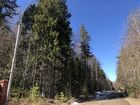 ул. Калиновая,9 в Невьянске - nevyansk.yutvil.ru - фото 3