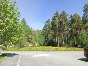 ул. Сосновая, 8 в Невьянске - nevyansk.yutvil.ru - фото 26