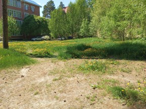 ул. Сосновая, 8 в Невьянске - nevyansk.yutvil.ru - фото 33
