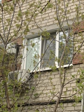 ул. Таганская,8 в Невьянске - nevyansk.yutvil.ru - фото 14