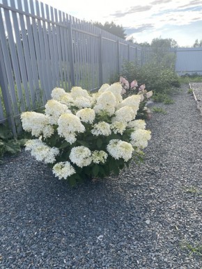 ул. Весенняя,12 в Невьянске - nevyansk.yutvil.ru - фото 20